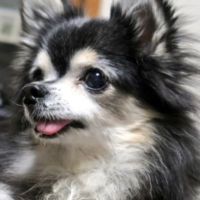もっち 久しぶりにデコル O O 百均のウエットティッシュのフタをデコってみた 赤ちゃんのおしりふきだけど犬のお粗相用に使ってるww このフタ便利だよ ㅂ و グッ