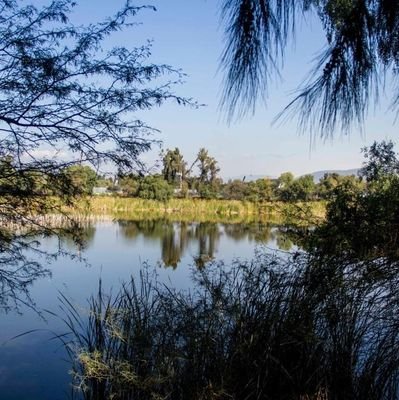 El humedal de Los Cárcamos es único en la ciudad. Cumple con una función importantísima para el ecosistema generando biodiversidad y servicios ambientales.