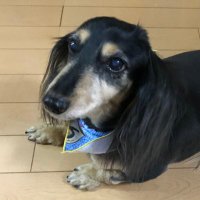 KERO (@xx1zuk0nujarhy5) 's Twitter Profile Photo KERO (@xx1zuk0nujarhy5) 's Twitter Profile Photo