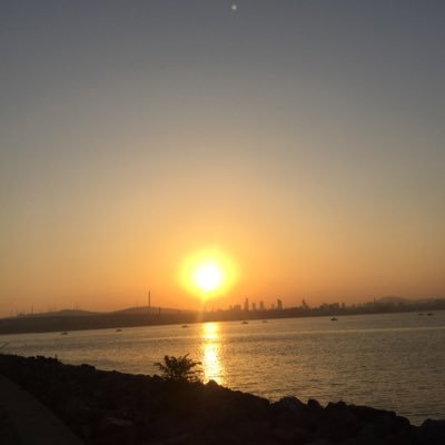 Fatmakoc81163's profile picture. 