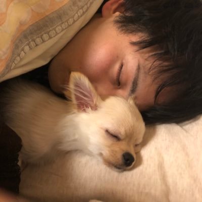 sho0322karate's profile picture. コタロウ可愛い  空手の先生してます