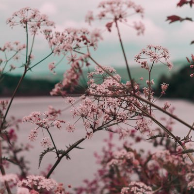 atram___'s profile picture. 