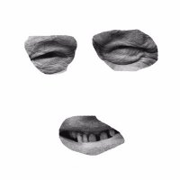 Balley Records (@balleyrecords) 's Twitter Profile