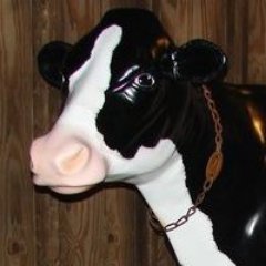 hfarmmuseum's profile picture. Visit our interactive children's exhibits and our museum gallery that covers over 250 years of Loudoun County agricultural history. Located in Sterling, VA.