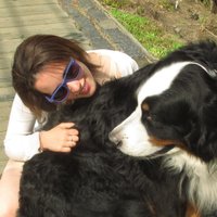 Susanna Sacks (@susannalsacks) 's Twitter Profile