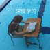 扶我起来,我还能学 (@razul998) Twitter profile photo 扶我起来,我还能学 (@razul998) Twitter profile photo