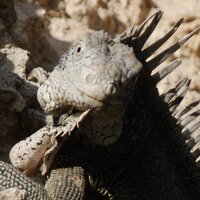 Morap (@morap) 's Twitter Profile