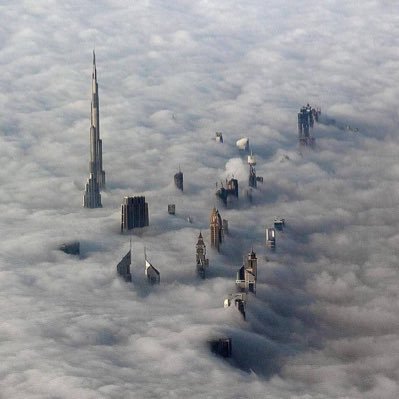 mohds20002's profile picture. 