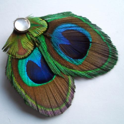 I am the maker of beautiful custom feather accessories - headbands, hairclips, jewelry, shoes.