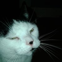 Percysparlour #FBPE #Xdissenter (@percysparlour) 's Twitter Profile