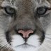 ColdbrookSchool (@coldbrookschool) Twitter profile photo ColdbrookSchool (@coldbrookschool) Twitter profile photo