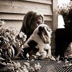 acavaliersvoice's profile picture. Ella is a cavalier king charles spaniel who is spoiled by her mom. She loves the dog bar and being w/ others