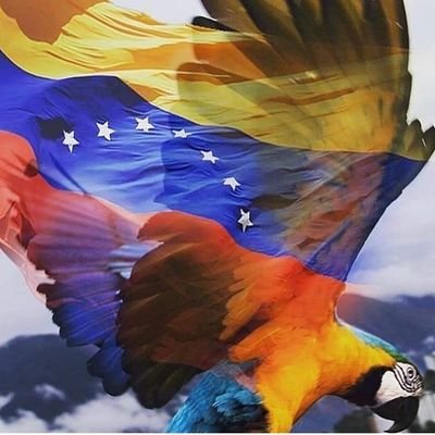 Orgullosamente Venezolana