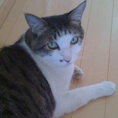 Satomi
