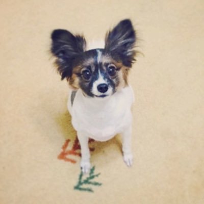 L2tbVu's profile picture. 여러명 사용