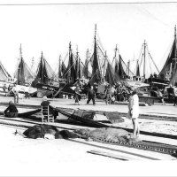 confrariadepescadorsdetarragona (@confrtarragona) 's Twitter Profile