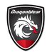 DragonWear (@dragonwear_fr) Twitter profile photo