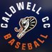 Caldwell Community College Baseball (@CaldwellCCBase1) Twitter profile photo