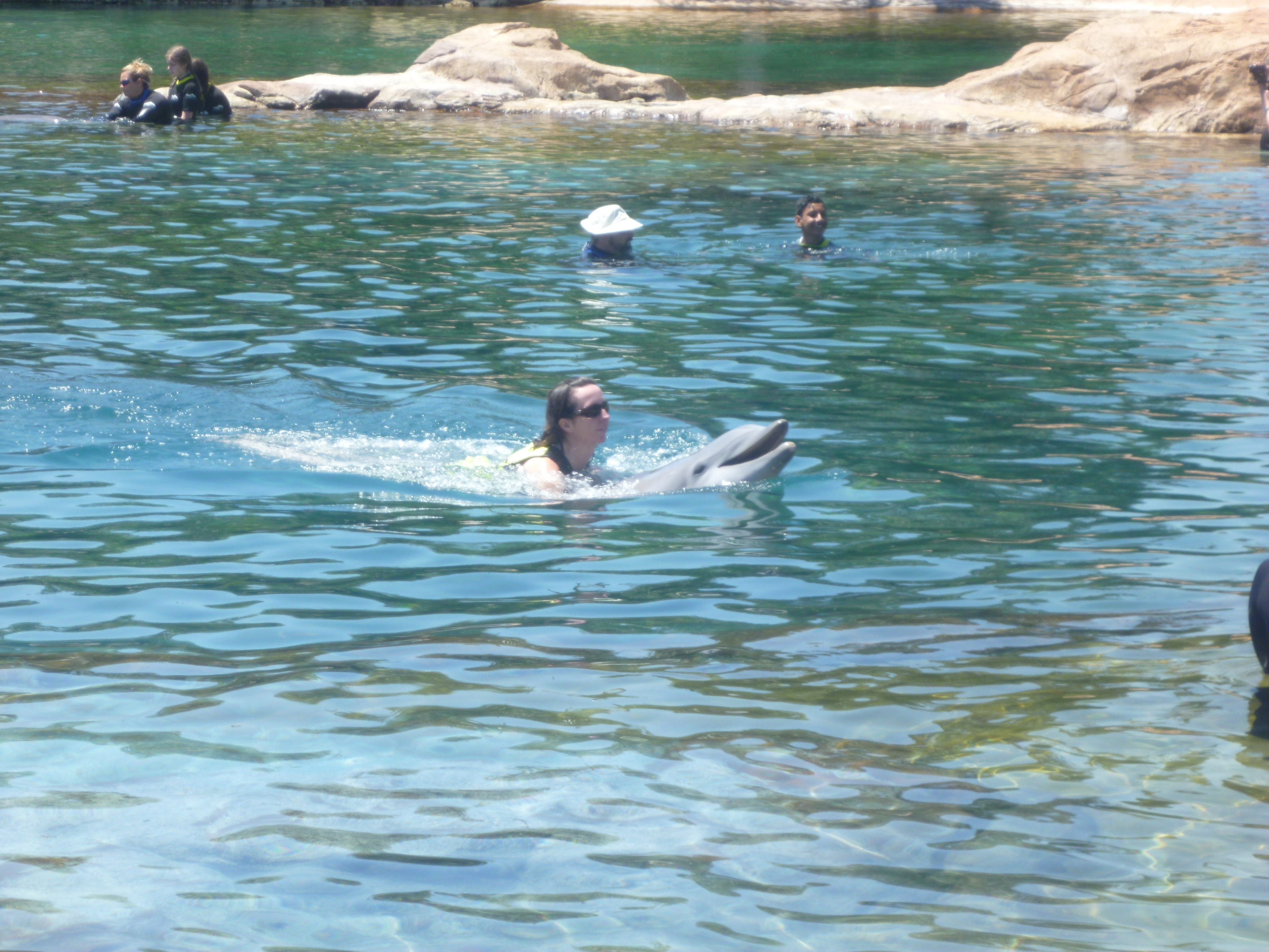 AliParkes3's profile picture. Specialist OT working in the dementia pathway.
All views my own