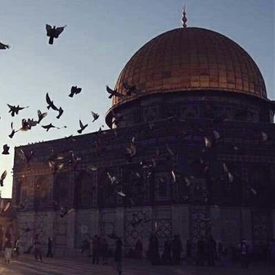 SRMapO1tWpWZZpI's profile picture. ‏لا اله الا الله محمد عبد الله ورسوله