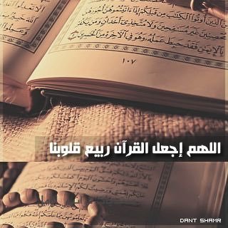 karoom_89's profile picture. 