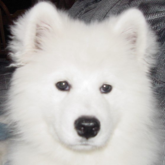 theRockLizard's profile picture. Comp Sci Warning nerd jokes. animals, travel. #Moderate
#DemCastOR #DemCast 
Pronouns: Ma'am/Yes Ma'am