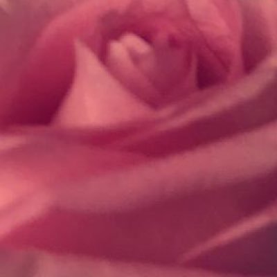 خطابة المدينه المنوره شعارنا مخافه الله نوفق راسين بالحلال باذن الله لااحلل الغير جاد والي يتلاعب علي الفاضي