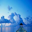 Meghan Evans - @ninja101love - Twitter