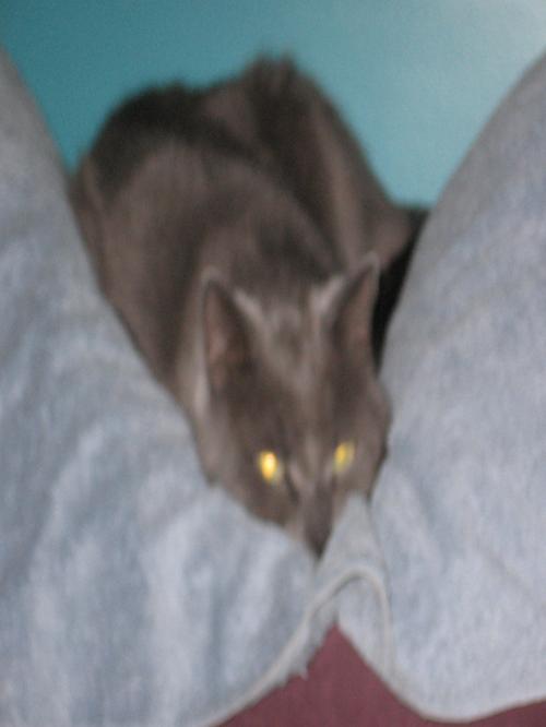 cwdion's profile picture. 