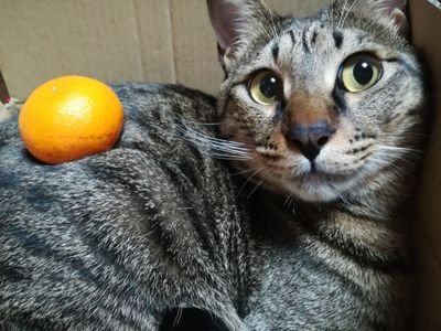 qJf0PKtaE0XVyjV's profile picture. 