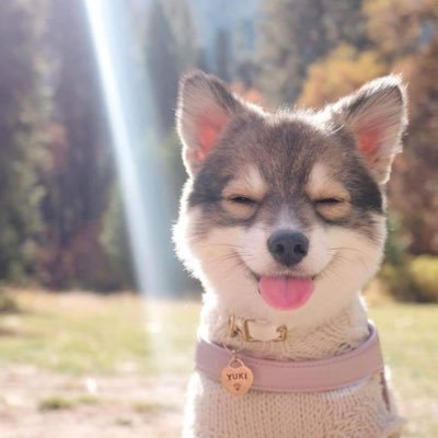 Naomi Alejandraさんのプロフィール画像