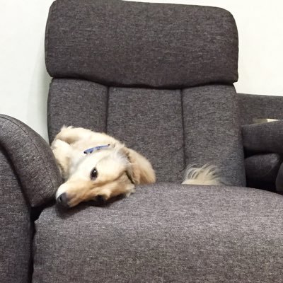 せんさんのプロフィール画像