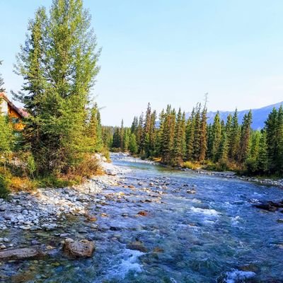 loganlakere's profile picture. 