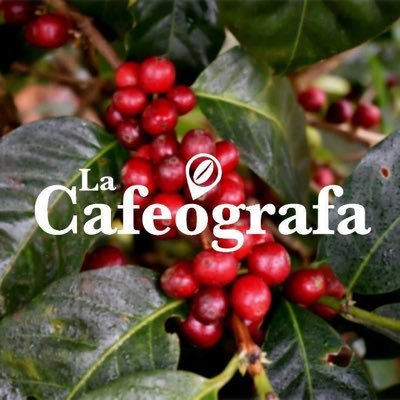 Historias de café desde la finca hasta la taza. ¡Tanto detrás del #café !