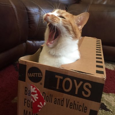 GavinOcurl's profile picture. You don’t care about my bio.