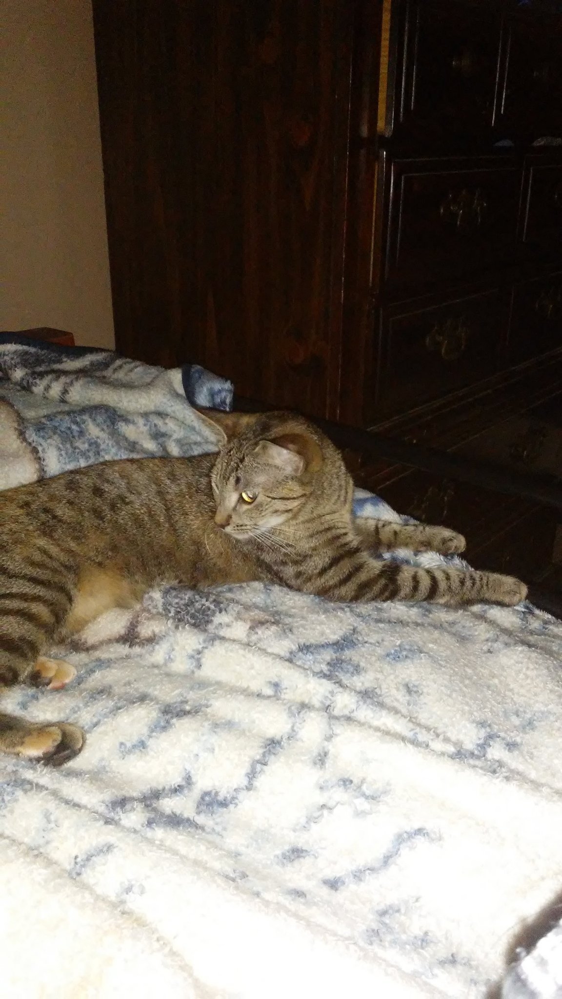 RhecDakota's profile picture. I'm a 14 year old conservative who doesn't give a shit about your opinion