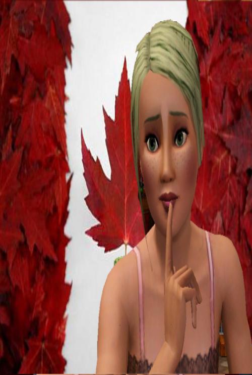 langevsu's profile picture. 