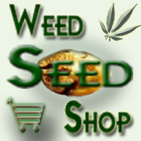 A site dedicated to the sale of cannabis seeds for the purpose of genetic preservation and souvenir.