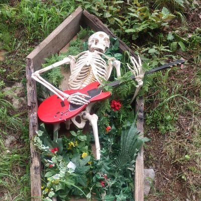 Seiya_0323's profile picture. 自由気ままに気の向くままに。