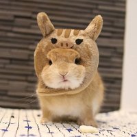 OhFy (@golffytecha) 's Twitter Profile