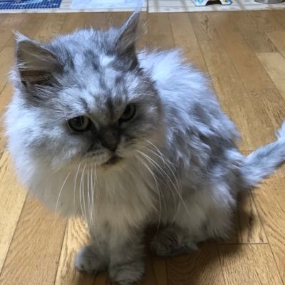 酒井美和 Kominosukemilk Twitter 酒井美和 Kominosukemilk Twitter