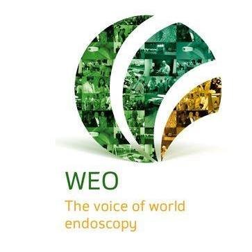 The World Endoscopy Organization is a non-profit organization, leading the promotion of high quality and safe digestive endoscopy worldwide.