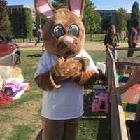 KENT BUNNY (@unikentbunny) 's Twitter Profile Photo