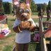 KENT BUNNY (@unikentbunny) Twitter profile photo KENT BUNNY (@unikentbunny) Twitter profile photo