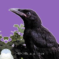 (・Θ・)ピ (@k_a_a_crow) 's Twitter Profile