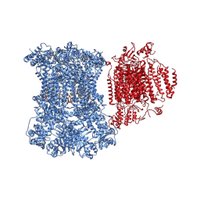 The Martin Ott lab (@ott_mitolab) 's Twitter Profile Photo The Martin Ott lab (@ott_mitolab) 's Twitter Profile Photo