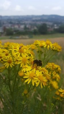 InnoxPark's profile picture. 