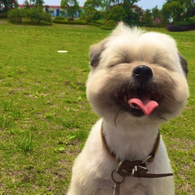 iam_sagua's profile picture. I once was a stray puppy. my human gave me shelter, I gave him a home.