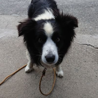 ナスのツケモノ🍆さんのプロフィール画像