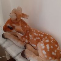 ديب زينو (@colvgwgdedalksq) 's Twitter Profile